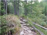 Dösner Alm - Säuleck